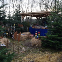 Weihnachtsmarkt mit Baumschlag 2015