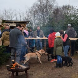 Weihnachtsmarkt mit Baumschlag 2015