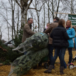 Weihnachtsmarkt mit Baumschlag 2015