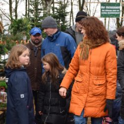 Weihnachtsmarkt mit Baumschlag 2016